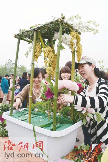 2014洛陽市插花藝術大賽介紹
